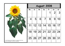 Kalender-2008-08.pdf